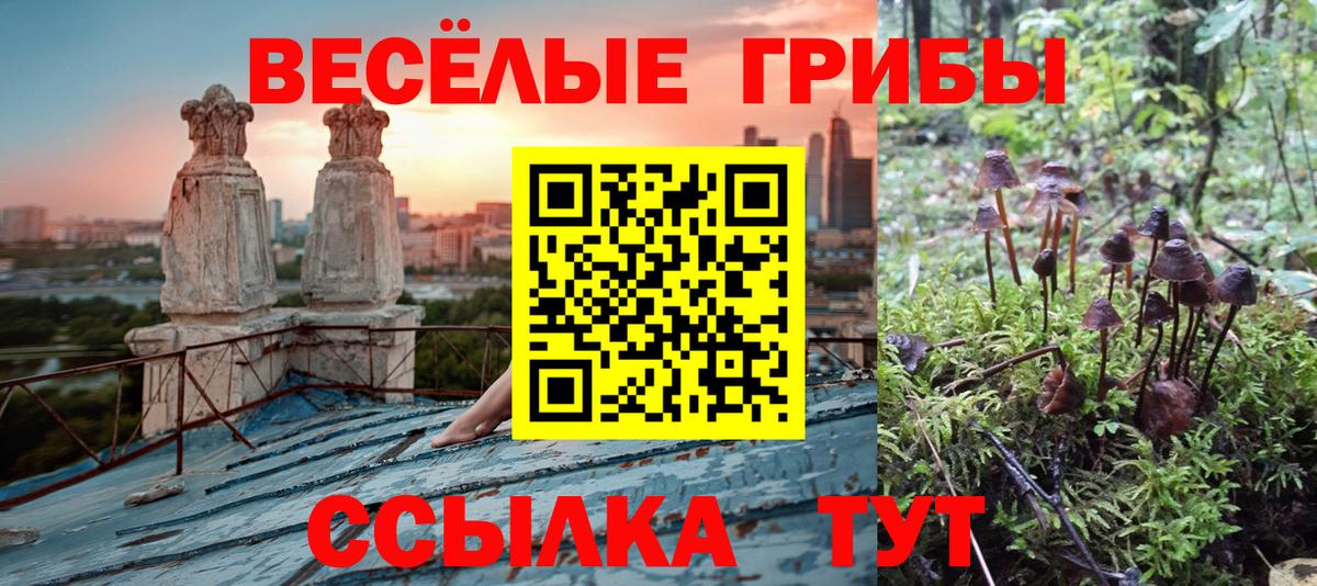 Дзержинск  Галлюциногенные грибы MAGIC MUSHROOMS  Вход с VPN 