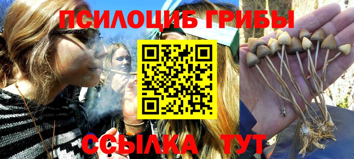 Псилоцибиновые грибы GOLDEN TEACHER Дзержинск